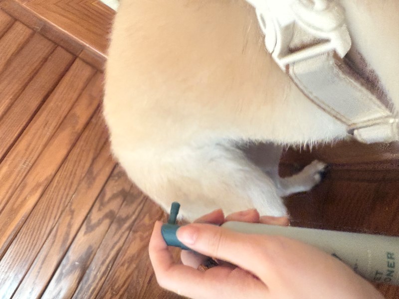 女人知己試用大隊,口碑行銷,部落客行銷,Goodmofamily歸毛家族 寵物肌膚救星組,歸毛家族 寵物肌膚救星,舒敏保濕洗毛乳,護膚噴液,精萃營養霜,博士30年生技專業,給足皮膚營養保護力,無抗生素 無類固醇,神經醯胺,19種綜合胺基酸,榮獲SNQ國家認證,上萬毛爸媽見證,3週幫助皮膚健康,NO.1寵物肌膚口碑霸主,寵物第一護膚領導品牌